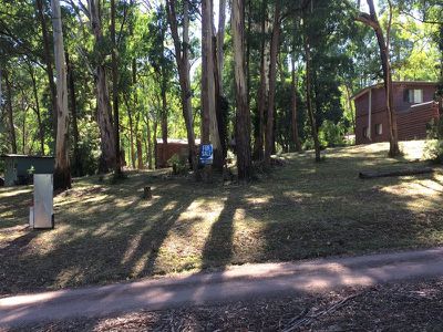40 Rosella Street, Sawmill Settlement