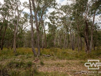 10 Tablelands Road, Red Range