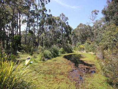 Randalls Bay