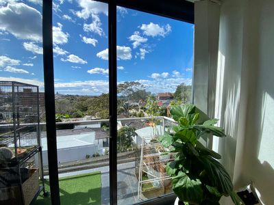 14 / 428 Bronte Road, Bronte