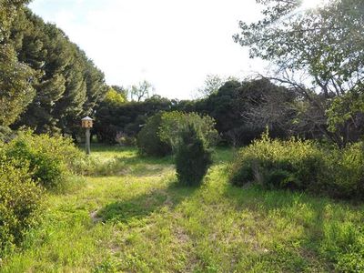 56 Farnell St, Forbes