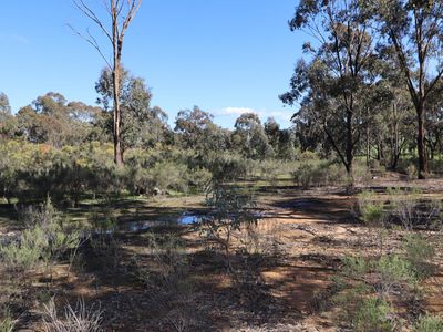 LOT 5  LOT 5  Tait Hamilton Road, Cornella