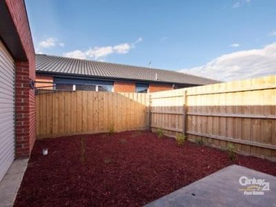 46 Hal Porter Terrace, Lynbrook