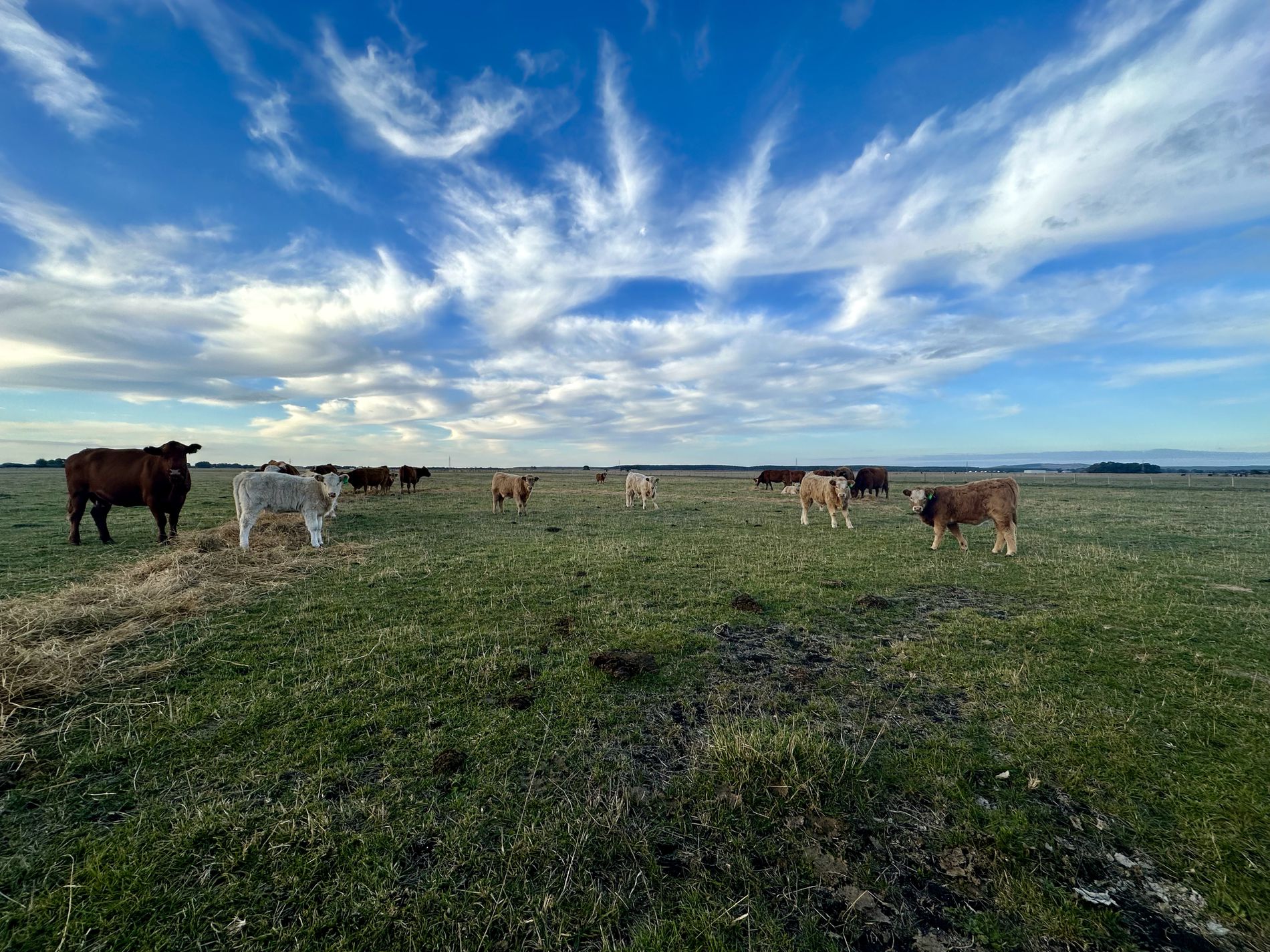 Lot 1, Lot 417 & 429, Sebastopol Springs Rd , Sebastopol