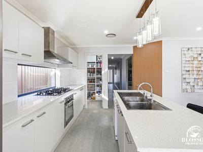 14 Agland Avenue, Marsden Park