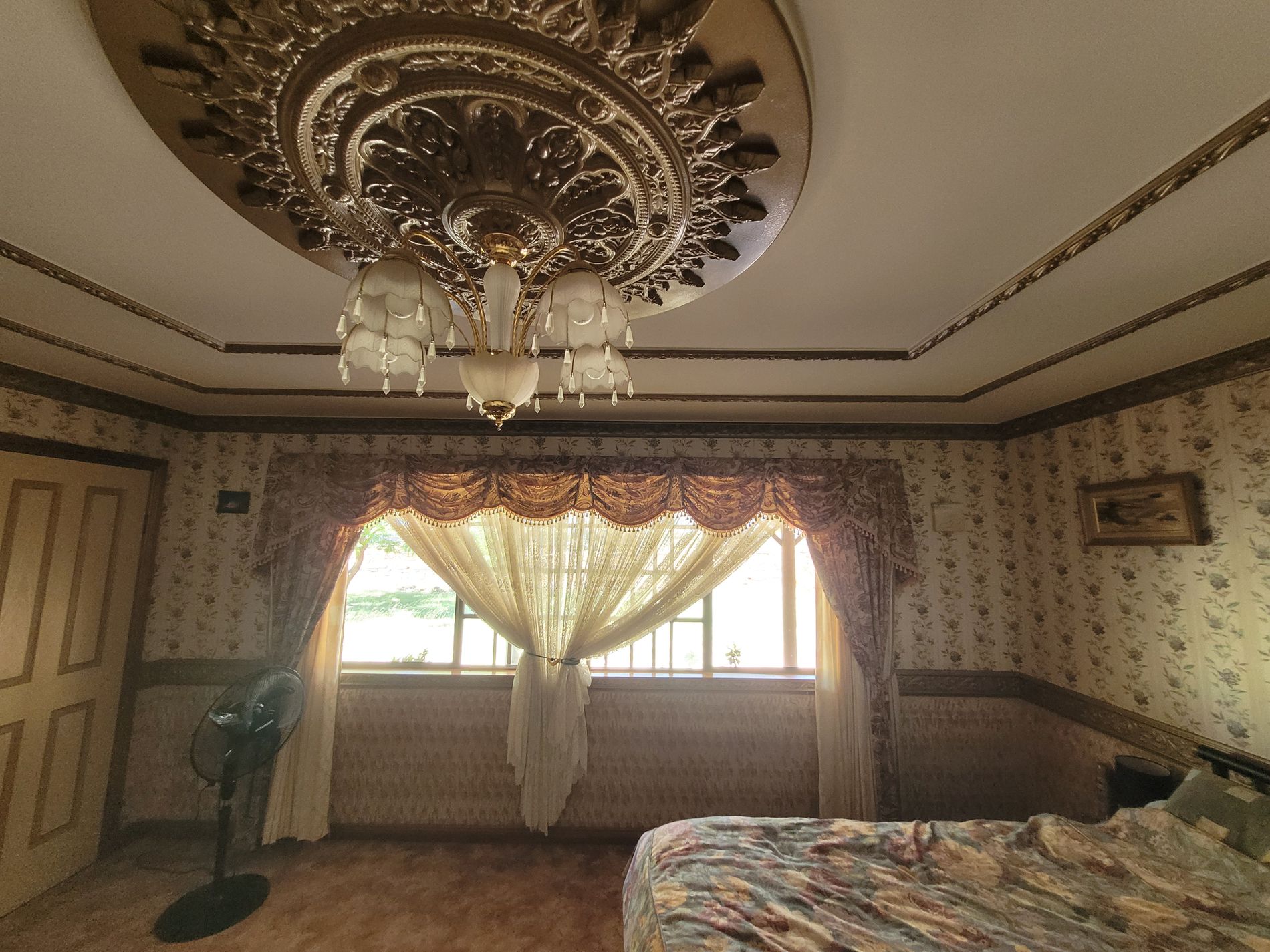 32 WILLOUGHBY STREET, Willows