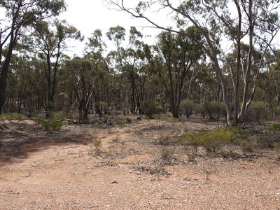 407 Josephine Drive, Wedderburn