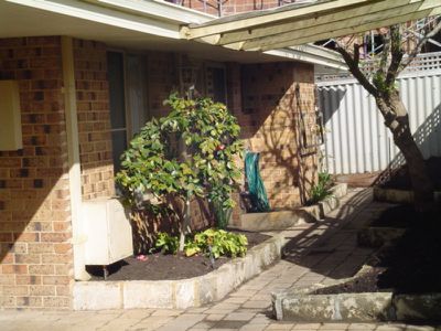 3 / 55 South Terrace, Como