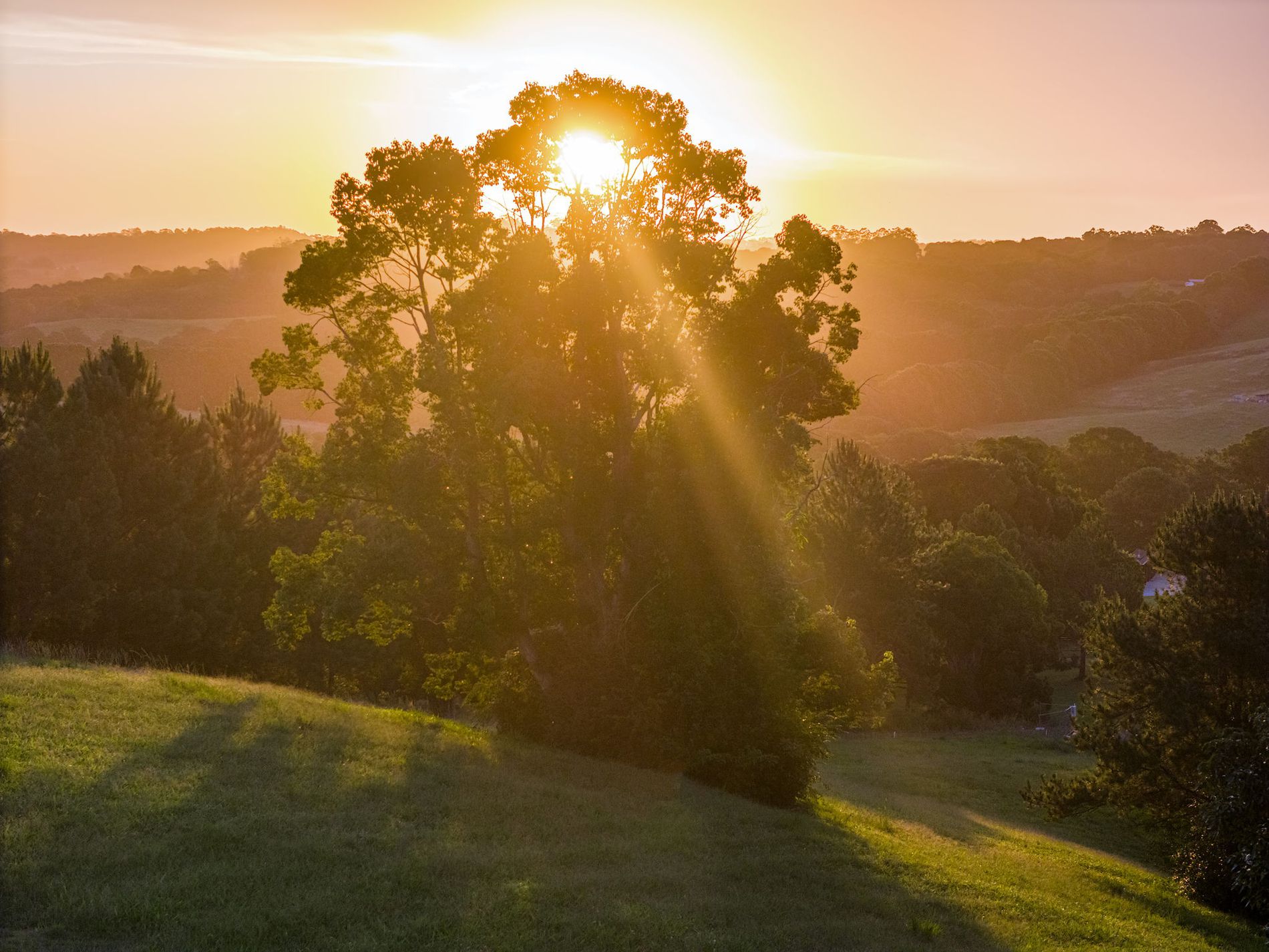 111 FOWLERS LANE, Bangalow