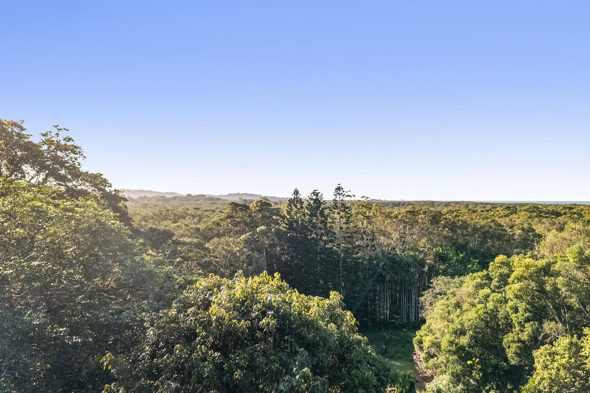 163 Tandys Lane, Brunswick Heads