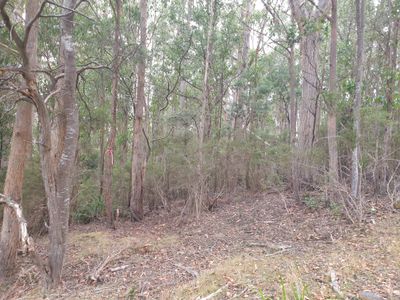 Lot 2 Eadies Lane, Franklin