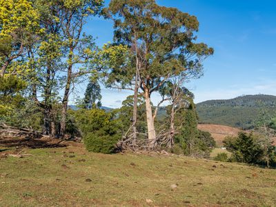 Lot 2 Sledge Hill Road , Glendevie