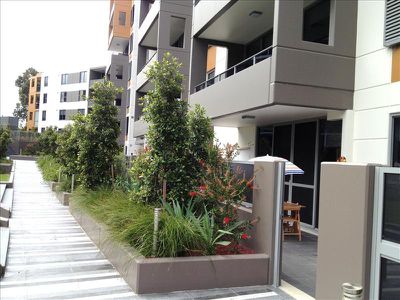 18 Bonar Street, Arncliffe