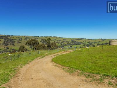72 Gilberts Road, Huon Creek