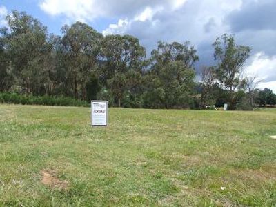 Fiddleback Drive, Tawonga South