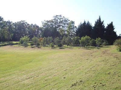 60 Borrowdale Close, Berry