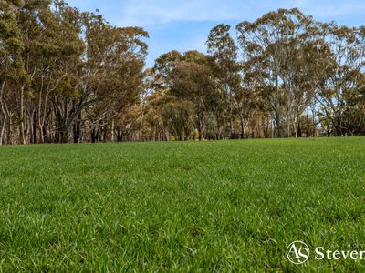 499 Old Wedderburn Road, Slaty Creek