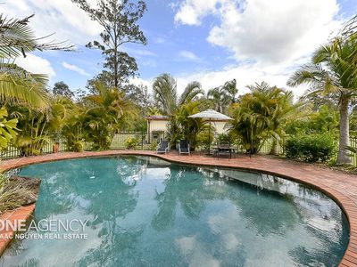 290 Forestdale Drive, Forestdale