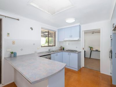 7 Curnow Place, Chisholm