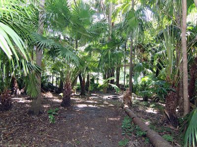 47 Carmona Drive, Forster