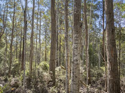 Lot 1, Huon Highway, Glendevie