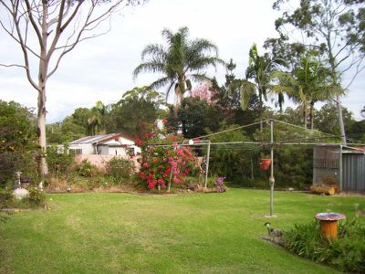 Morisset