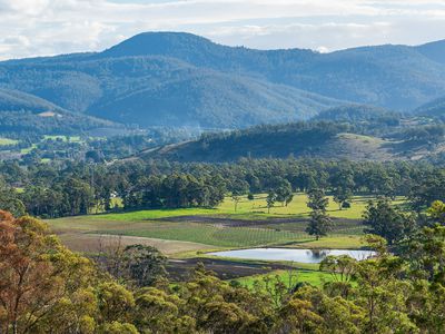 Lot 1 Turn Creek Road, Grove