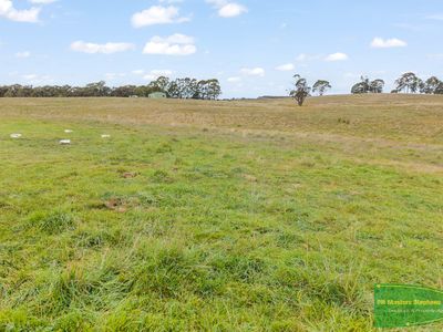 4616 Trunkey Road, Arkell