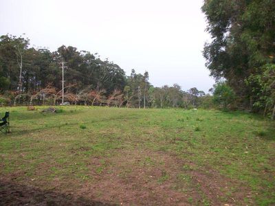 Ourimbah