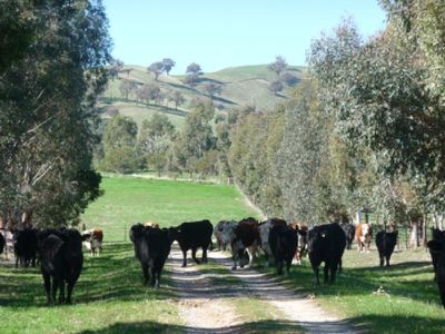 Gundowring Road, Gundowring