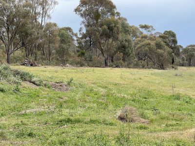 CA 37H Olympic Parade, Maiden Gully