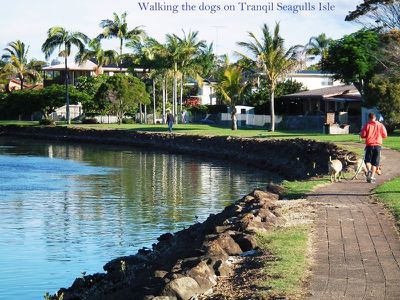 2 / 137 Sunset Boulevarde, Tweed Heads West