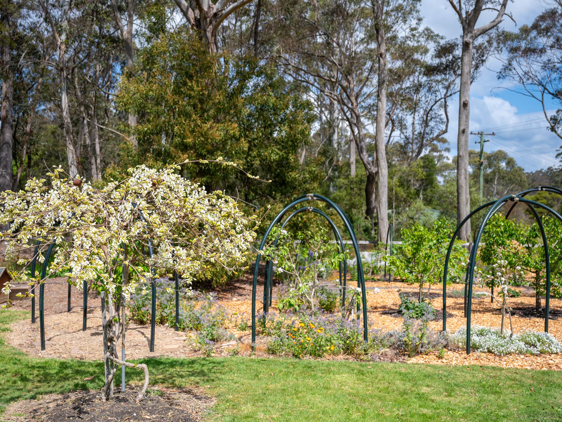 1261 Sheepwash Road, Fitzroy Falls
