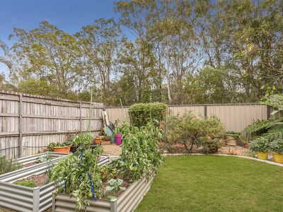 19 Constellation Way, Wynnum