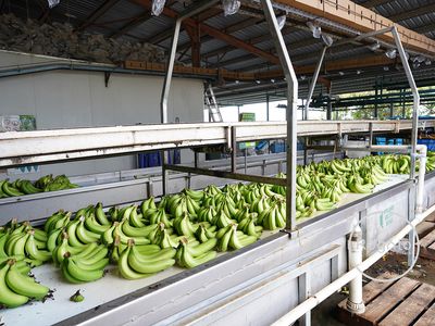 387 Fassio Road, Mareeba