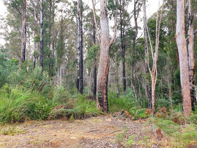 Lot 3 Costains Road, Geeveston