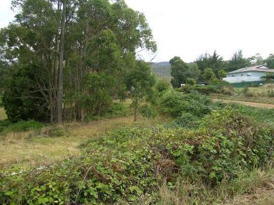 North Huon Road, Judbury