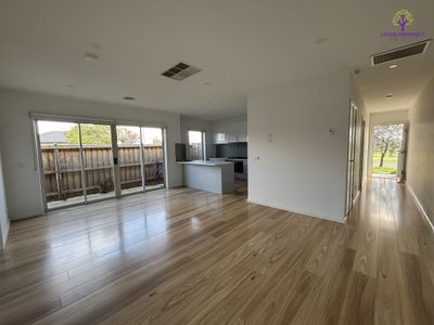 31 Ambersweet Drive, Tarneit