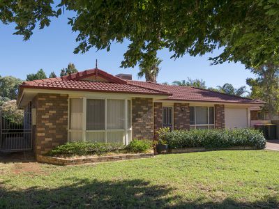 48 Cardiff Arms Avenue, Dubbo