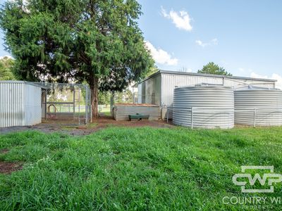 31 McInnes Street, Glencoe