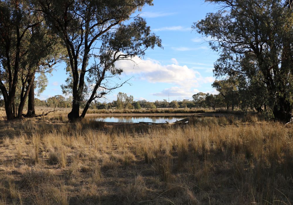Back Trundle Road, Parkes