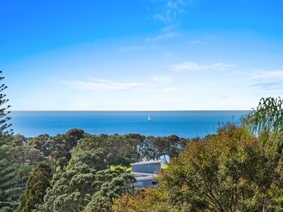 3/56 Castor Bay Road, Castor Bay