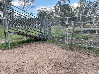 Wattle Camp