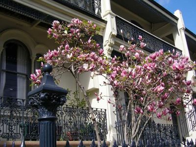 2 / 280 Bridge Road, Forest Lodge