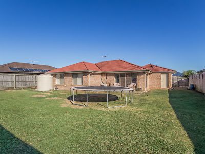 14 Wattle Crescent, Raceview