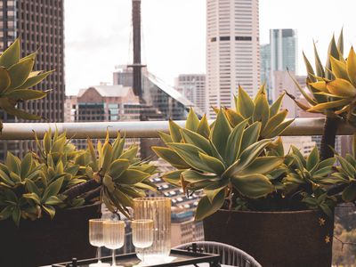 Penthouse 2901 / 187 Liverpool Street, Sydney