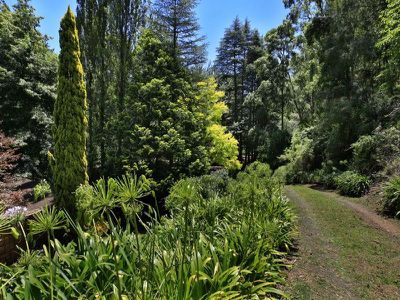 67 Battys Rd, Kangaroo Valley