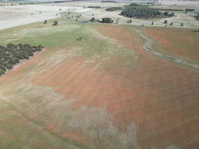 'Durringle' 104 Pfeiffers Lane, West Wyalong