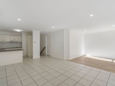17 Shearwater Terrace, Springfield Lakes