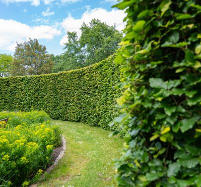 BAYSIDE TERRITORY  MOBILE HEDGE & GARDEN SERVICE BUSINESS | HIGH MARGINS